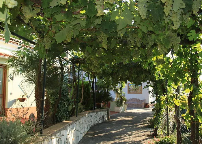 B&B Il Grappolo