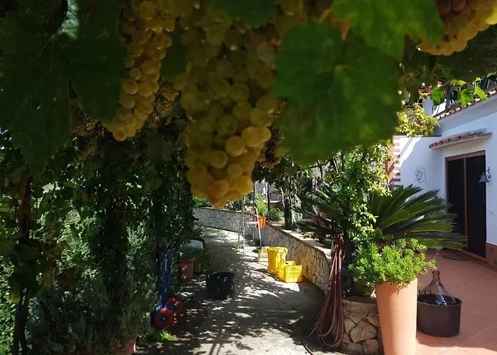B&B Il Grappolo