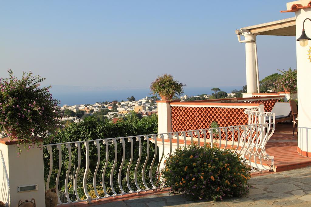 Il Grappolo Anacapri (Isola di Capri)