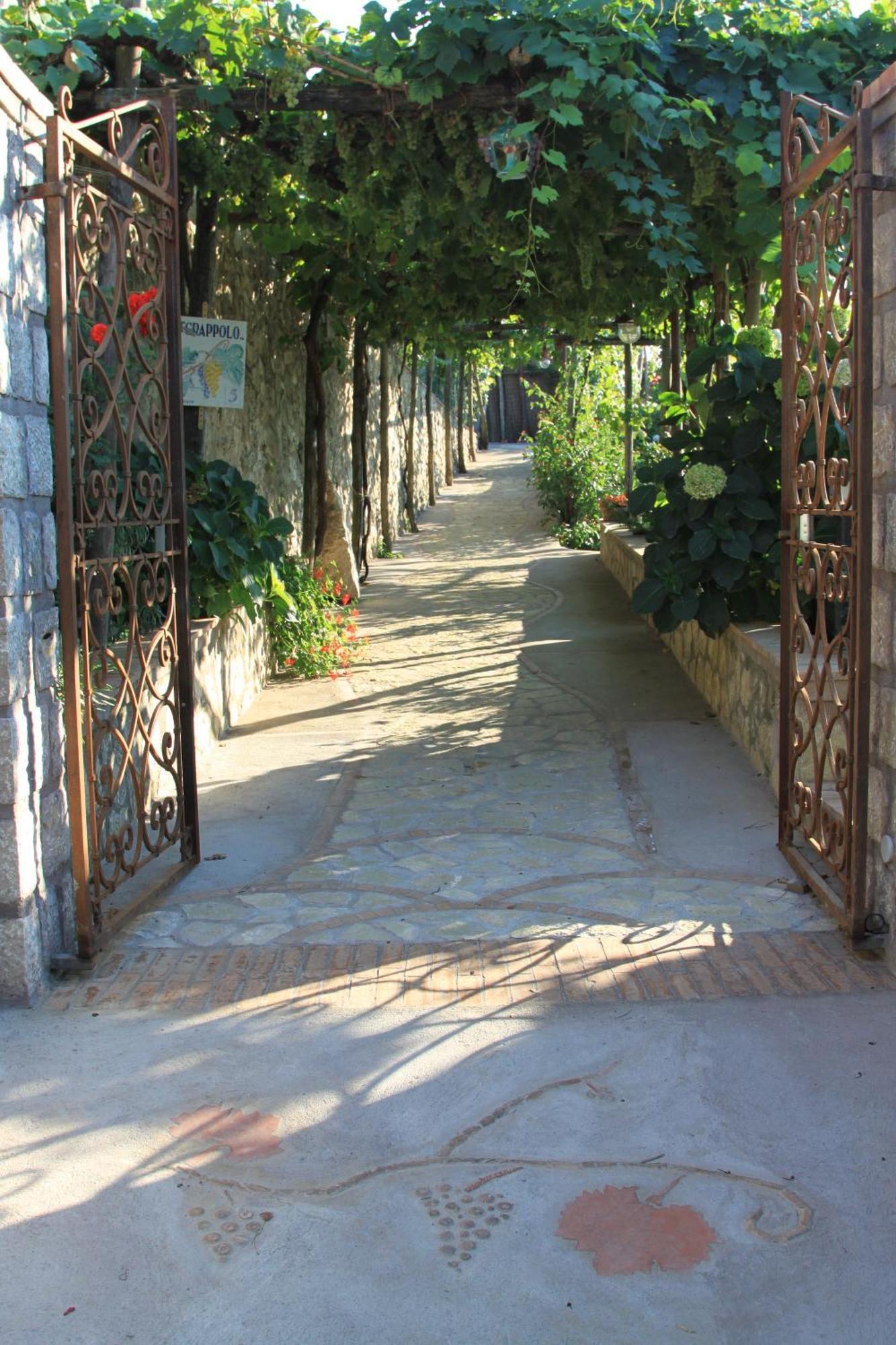Il Grappolo