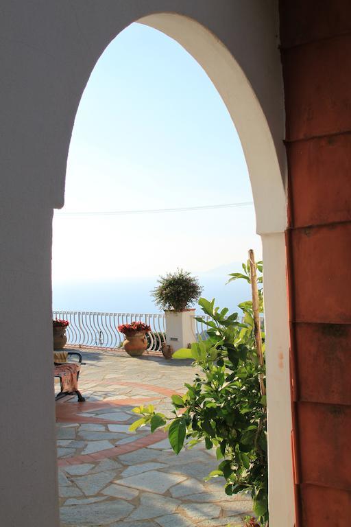 Il Grappolo Anacapri (Isola di Capri)