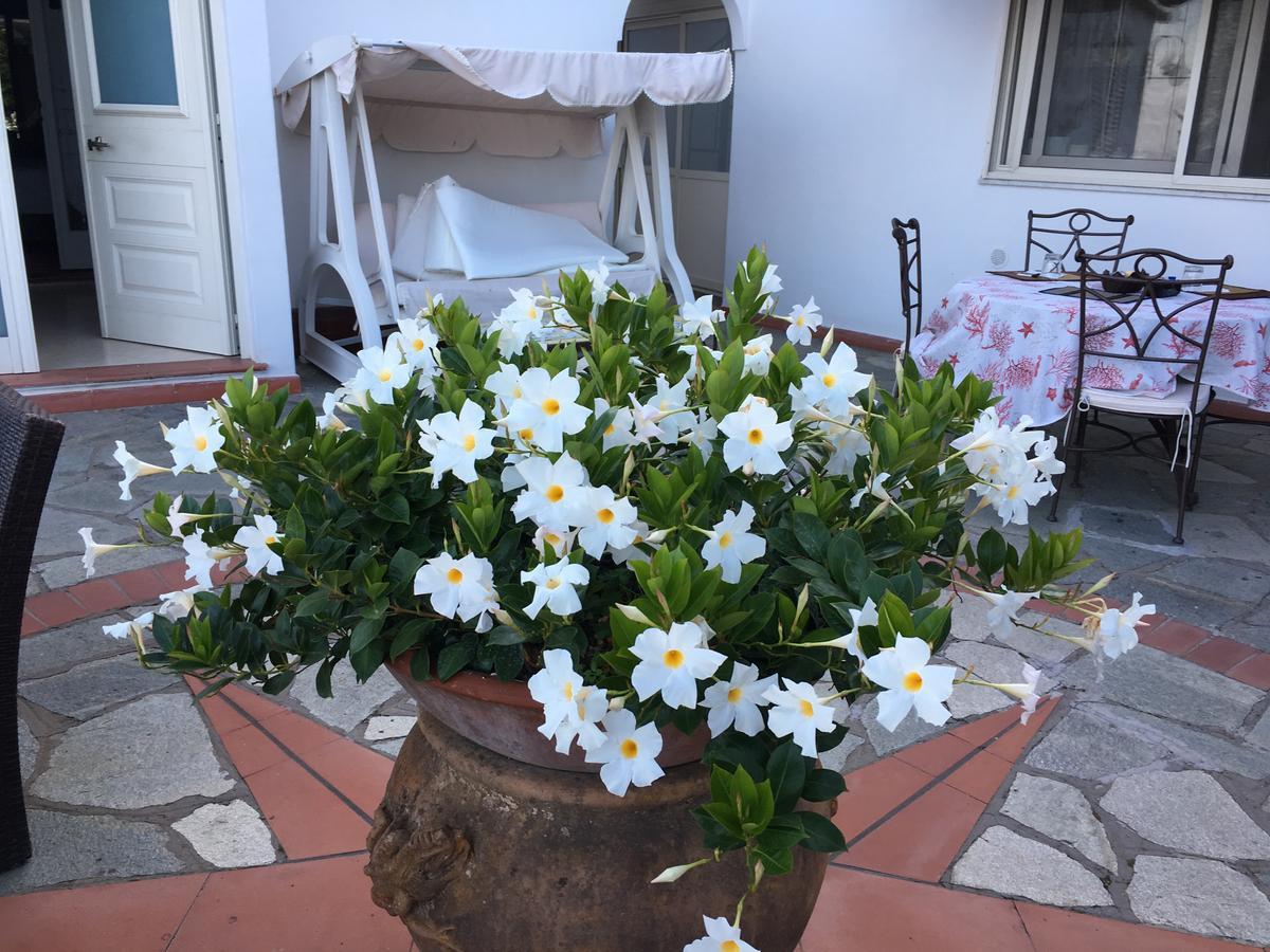 Frühstückspension Il Grappolo Anacapri (Isola di Capri)