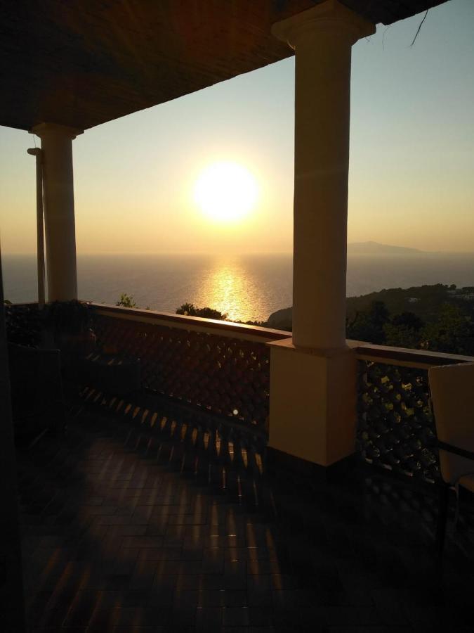 Il Grappolo Anacapri (Isola di Capri)