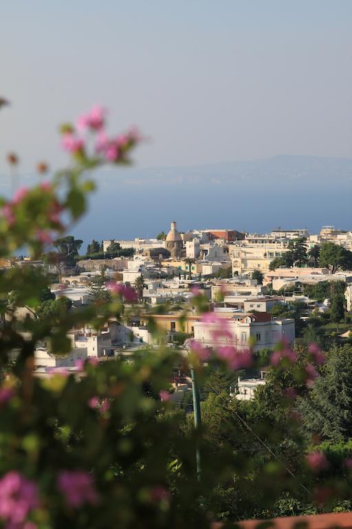 Il Grappolo Bed & Breakfast