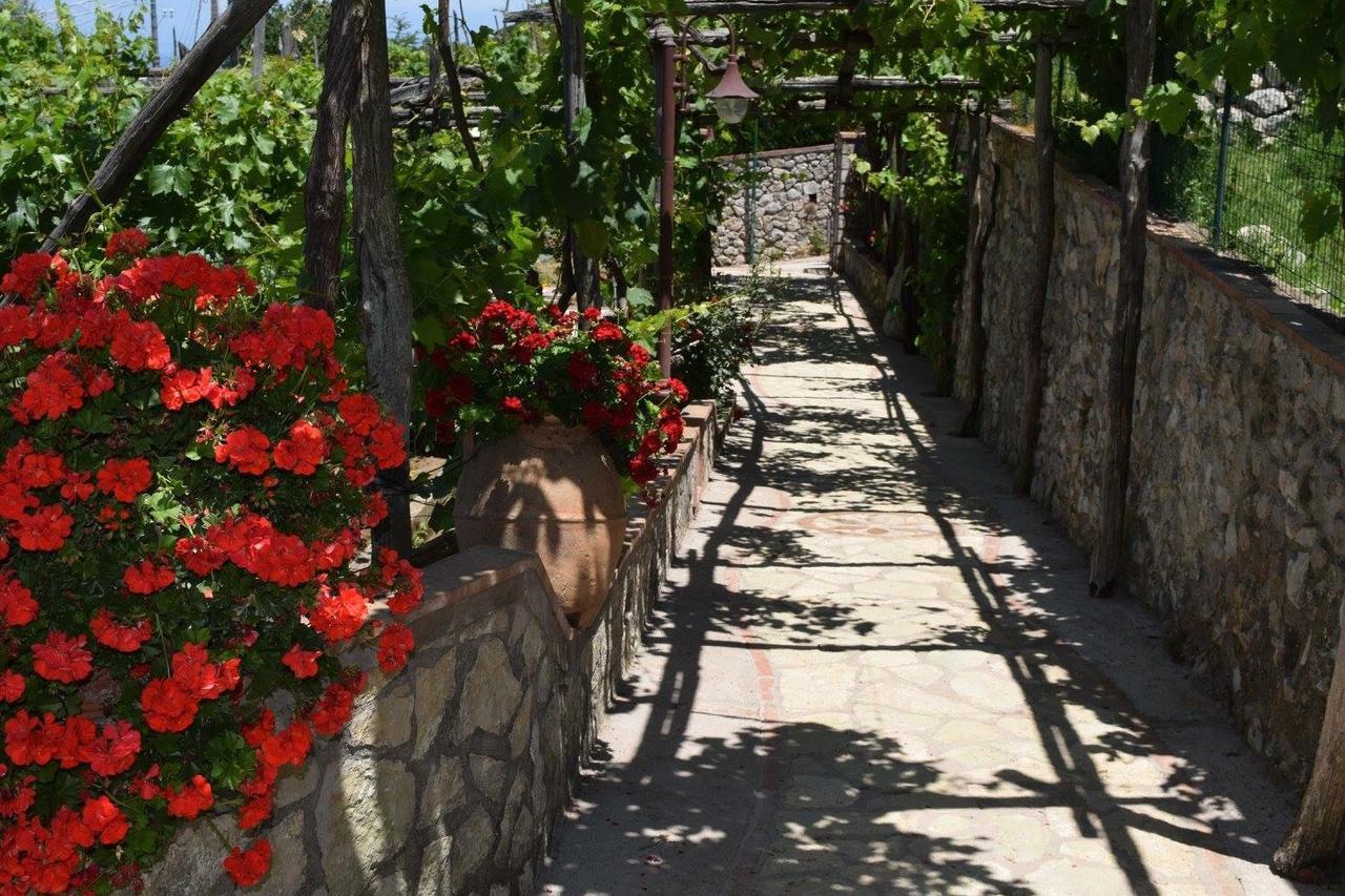 Il Grappolo Bed & Breakfast 2*