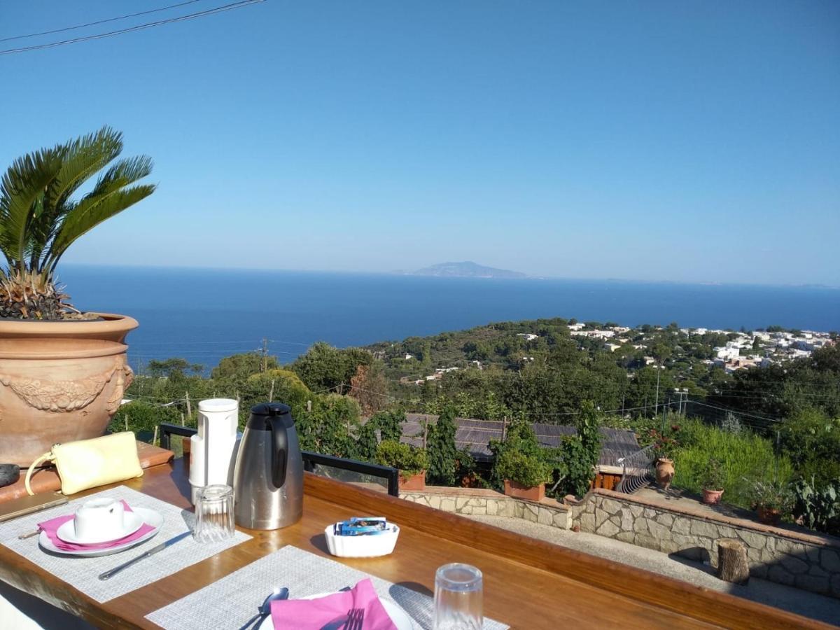 Il Grappolo Bed & Breakfast